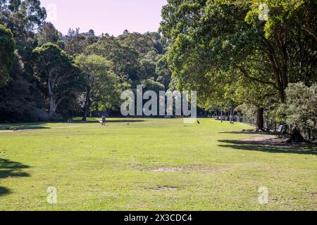 Mosman, Sydney, Australie Reid Park est un parc urbain adjacent à Mosman Bay et offre des moments de liberté de chien à certaines périodes de l'année, Sydney Banque D'Images