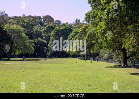 Mosman, Sydney, Australie Reid Park est un parc urbain adjacent à Mosman Bay et offre des moments de liberté de chien à certaines périodes de l'année, Sydney Banque D'Images