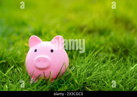 Une tirelire rose dans une herbe verte. investissements dans la nature et l'environnement. Épargne financière et concept d'entreprise. Recettes, budget. Copier l'espace Banque D'Images
