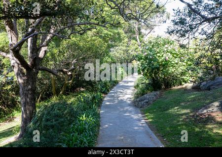 Lex et Ruby Graham Garden, un jardin secret de Sydney sur Cremorne point qui a commencé en 1959 avec un bulbe d'éléphant planté, Nouvelle-Galles du Sud, Australie Banque D'Images