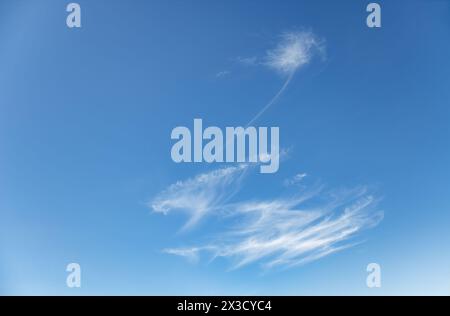 Structure du ciel, cirrus fibratus vertébratus. Une plume dans le ciel Banque D'Images