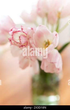 Vase rempli de tulipes roses douces en fleurs, délicates et fraîches Banque D'Images