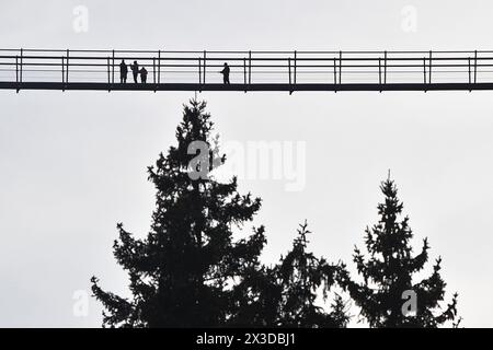 Skywalk Willingen avec des gens sur le plus long pont piétonnier en Allemagne, Allemagne, Hesse, Willingen Banque D'Images