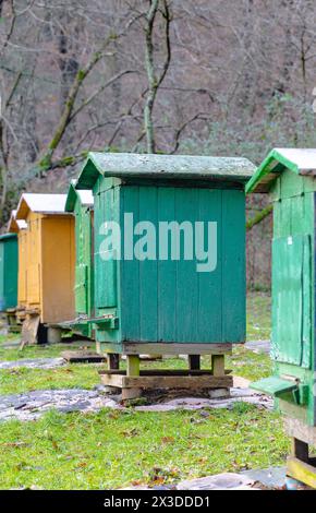 Rucher traditionnel dans la forêt. Raws de ruches d'abeilles colorées en bois. Ruche dans le jardin d'abeilles. Nid de toute colonie d'abeilles, cellules de cire prismatiques hexagonales Banque D'Images