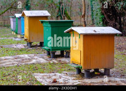 Rucher traditionnel dans la forêt. Raws de ruches d'abeilles colorées en bois. Ruche dans le jardin d'abeilles. Nid de toute colonie d'abeilles, cellules de cire prismatiques hexagonales Banque D'Images