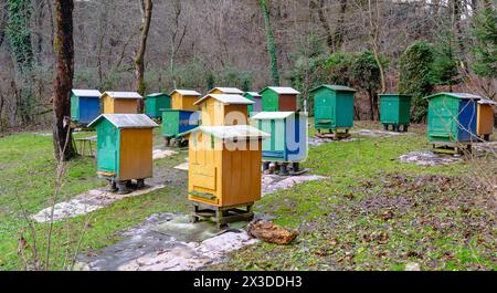 Rucher traditionnel dans la forêt. Raws de ruches d'abeilles colorées en bois. Ruche dans le jardin d'abeilles. Nid de toute colonie d'abeilles, cellules de cire prismatiques hexagonales Banque D'Images