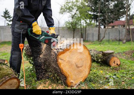 Un homme en uniforme coupe un vieil arbre dans la cour avec une scie électrique. Banque D'Images