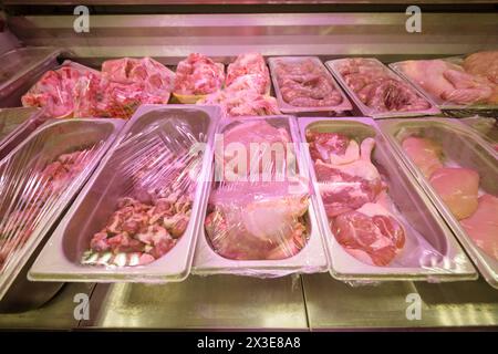Viande en magasin, traduction du texte - filets de cuisse de dinde, cuisses de canard, bonbons, coeurs de poulet, estomacs de poulet, ensemble à soupe Banque D'Images