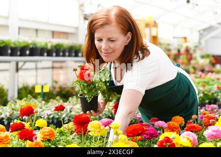 Femme travaillant dans une crèche - les émissions de fleurs colorées Banque D'Images