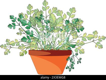 Illustration vectorielle de pot de fleur Illustration de Vecteur