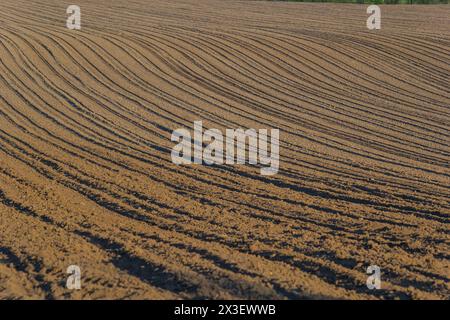 Champs de terre noire pour les rangées labourées, plantées et hilling. Texture au sol. Banque D'Images