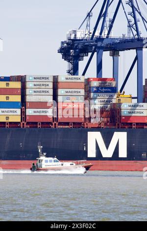 Harwich Haven navire-pilote St Edmund sur les opérations de pilotage dans le port de Harwich. Banque D'Images