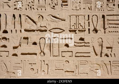 Hiéroglyphes sur le mur de Medinet Habu sur la Cisjordanie de Louxor, Egypte Banque D'Images