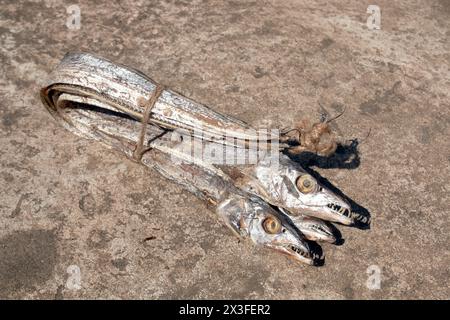 poisson de ruban asiatique ou queue de poil sur fond de rugh. Poisson de mer séché de la baie du bracelet. Aussi appelé Churi Shutki. Populaire dans chattogram, Bangladesh. regardez Banque D'Images