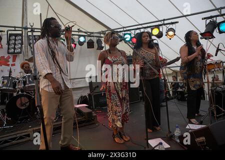 Levi Roots se produisant au Guilfest 2011 Banque D'Images