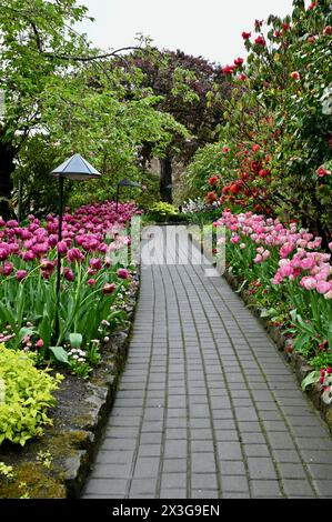 Fleurs de printemps et bulbes en pleine fleur colorée dans les beaux jardins du parc immobilier Banque D'Images