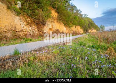 Steamboat trace, piste cyclable convertie à partir d'un chemin de fer abandonné, près du Pérou, Nebraska, paysage matinal printanier Banque D'Images