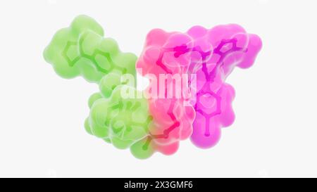 Illustration de la structure d'une molécule de dégradation de protéine ciblée, telle qu'une chimère de ciblage de protéolyse (PROTAC). Les dégradants de protéines ciblés sont de petites molécules constituées de deux ligands (vert et violet) joints par un linker (rouge). Un ligand recrute une protéine d'intérêt, tandis que l'autre recrute une molécule de protéine ligase, ce qui conduit à l'ubiquitylation et à la dégradation subséquente de la protéine d'intérêt. Banque D'Images