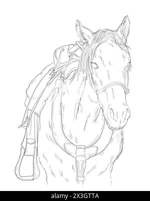 Portrait d'un jeune cheval avec selle occidentale. Dessin d'esquisse en noir et blanc. Concept d'animal de ferme. Banque D'Images