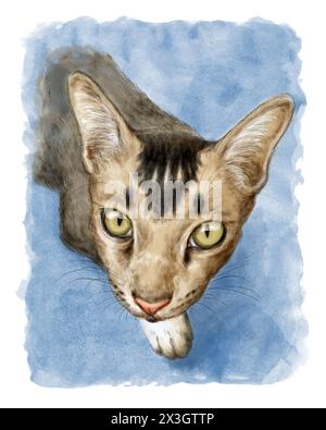 Portrait d'un chat gris mignon avec rayé sur le visage. Peinture artistique à l'aquarelle. Concept d'animal domestique de compagnie. Banque D'Images