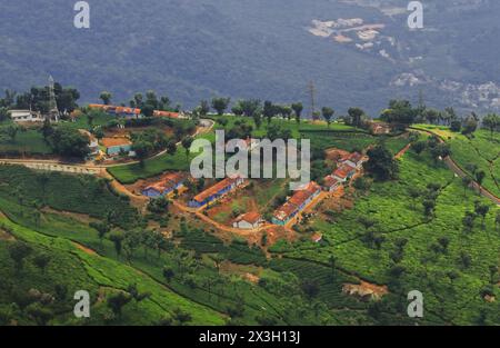 panorama des collines verdoyantes de la montagne nilgiri et champ de terrasse, jardin de thé de coonoor près de la station de colline ooty à tamilnadu, sud de l'inde Banque D'Images