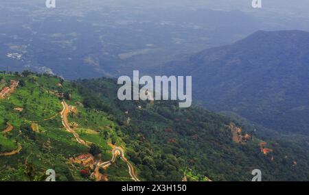 panorama des collines verdoyantes de la montagne nilgiri et champ de terrasse, jardin de thé de coonoor près de la station de colline ooty à tamilnadu, sud de l'inde Banque D'Images