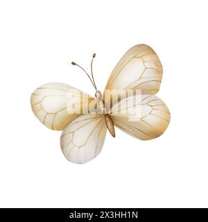 Beau papillon boho. Aquarelle dessinée à la main clipart d'insecte beige isolé sur fond. Illustration botanique et de mariage. Pour les concepteurs Banque D'Images