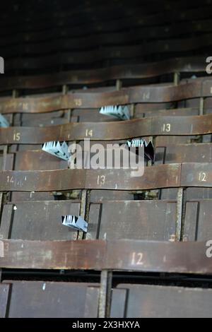 Une vue des tribunes avant le match de premier League à Craven Cottage, Londres. Date de la photo : samedi 27 avril 2024. Banque D'Images