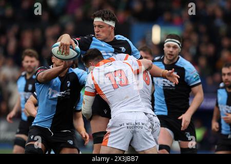 Cardiff, Royaume-Uni. 27 avril 2024. Teddy Williams du rugby de Cardiff est attaqué. United Rugby Championship, Cardiff Rugby v Edinburgh Rugby au Cardiff Arms Park à Cardiff, pays de Galles, samedi 27 avril 2024. photo par Andrew Orchard/Andrew Orchard photographie sportive/Alamy Live News crédit : Andrew Orchard photographie sportive/Alamy Live News Banque D'Images