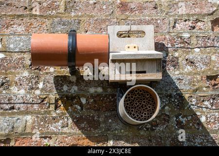 Maison d'insectes maison ou maison d'insectes, tiges de bambou à l'intérieur d'un tuyau monté sur le mur dans un jardin Banque D'Images