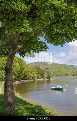 Penmaenpool près de Dolgellau sur l'estuaire de Mawddach, Nord du pays de Galles, Royaume-Uni Banque D'Images