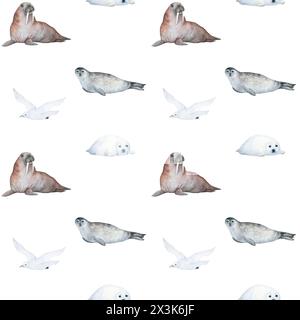 Aquarelle modèle sans couture avec illustration de phoque d'animaux de la mer arctique, mouette blanche, morse, isolé sur fond blanc. Pour les choses des enfants Banque D'Images