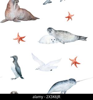 Aquarelle sans couture motif avec illustration de phoque d'animaux de la mer arctique, mouette blanche, étoile de mer, guillemot, narval et morse, isolé sur blanc Banque D'Images