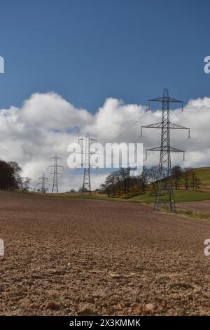 Les pylônes transportent la ligne aérienne SSEN 275 kV à travers les champs entre Castle Hill et Clune Hill dans la campagne d'Angus au nord de Kirriemuir, en Écosse. Banque D'Images