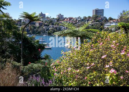 Cremorne point vue de Mosman Bay à travers Lex et Ruby Graham jardin secret, Sydney, Nouvelle-Galles du Sud, Australie Banque D'Images