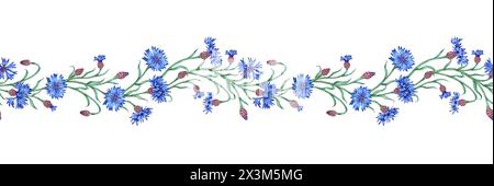 Illustration aquarelle de motif horizontal bleu bleuets. Elément de composition botanique isolé du fond. Convient pour les cosmétiques, aromather Banque D'Images