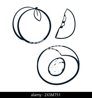 Peach fruit Drawing Set Vector Peach Scribbles icônes Doodle. Vecteur pêche Illustration de Vecteur