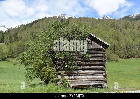 Beau paysage avec de vieilles montagnes cabanes en rondins hautes dans les Alpes autrichiennes, région du Tyrol, Autriche Banque D'Images