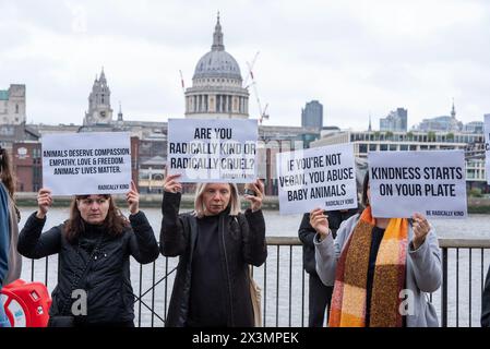 Londres, Royaume-Uni. 27 avril 2024. Les manifestants tiennent des pancartes pendant la manifestation. Radicalement gentil est une organisation végétalienne. Ils croient aux droits des animaux et ils veulent arrêter la souffrance animale. Ils ont organisé une manifestation devant la Tate Modern à Londres pour faire réaliser aux gens qu'ils mangent très souvent des bébés animaux. Crédit : SOPA images Limited/Alamy Live News Banque D'Images