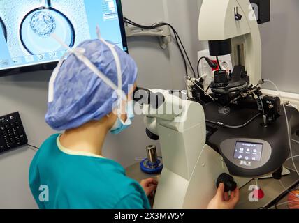 Embryologie, ARU, unité de procréation assistée, FIV, fécondation in vitro, injection intra cytoplasmique de spermatozoïdes, Hôpital, Donostia, Saint-Sébastien, Gipuzk Banque D'Images