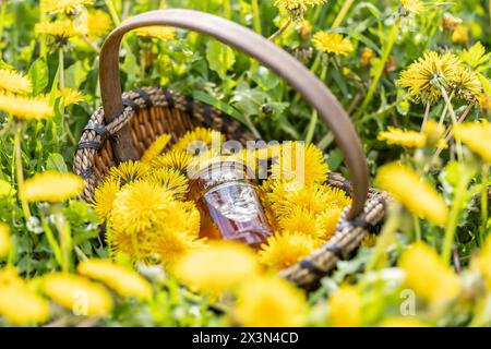 Pissenlit fleurit dans un panier en osier avec un pot de miel placé sur le sol quelque part dans un pré. Banque D'Images