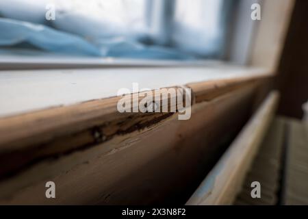 panneau de fenêtre en bois poncé en gros plan pendant la rénovation de la maison. Banque D'Images