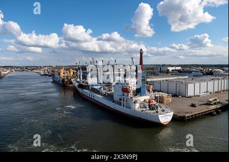 IJmuiden pays-Bas 22 avril 2024 Nassau, Bahamas immatriculé Reefer cargo Seatrade Runaway Bay déchargeant au quai. expédition, importations, vrac, marchandises Banque D'Images