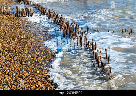 Défenses marines érodées et groynes dans le bardeau de la réserve naturelle de Rye Harbour, East Sussex, Angleterre sous le soleil d'hiver. Banque D'Images