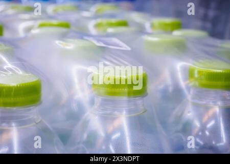 Bouteilles d'eau dans un film plastique Banque D'Images