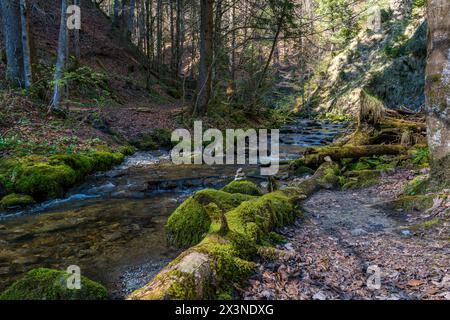 Belle randonnée de printemps à la cascade de Niedersonthofen à travers le Falltobel près de Niedersonthofen dans l'Allgau Banque D'Images