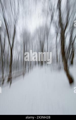 Image de mouvement intentionnel de caméra (ICM) d'un sentier de randonnée enneigé en hiver créé par le flou de mouvement, réserve naturelle de Ruutinkoski, Helsinki, Fimland. Banque D'Images