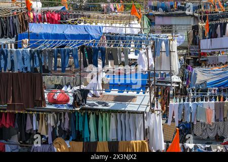 Mumbai, Inde - 3 mars 2024 : un homme travaille à Mahalaxmi Dhobi Ghat, la plus grande blanchisserie en plein air de Mumbai, Inde. Banque D'Images