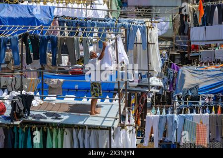 Mumbai, Inde - 3 mars 2024 : un homme travaille à Mahalaxmi Dhobi Ghat, la plus grande blanchisserie en plein air de Mumbai, Inde. Banque D'Images