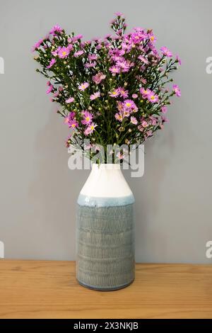 Gros plan fleur de marguerites de Pâques, nom botanique Aster dans le pichet en argile isolé sur une table en bois. Bouquet de fleurs roses. Bouquet estival de Flow Banque D'Images